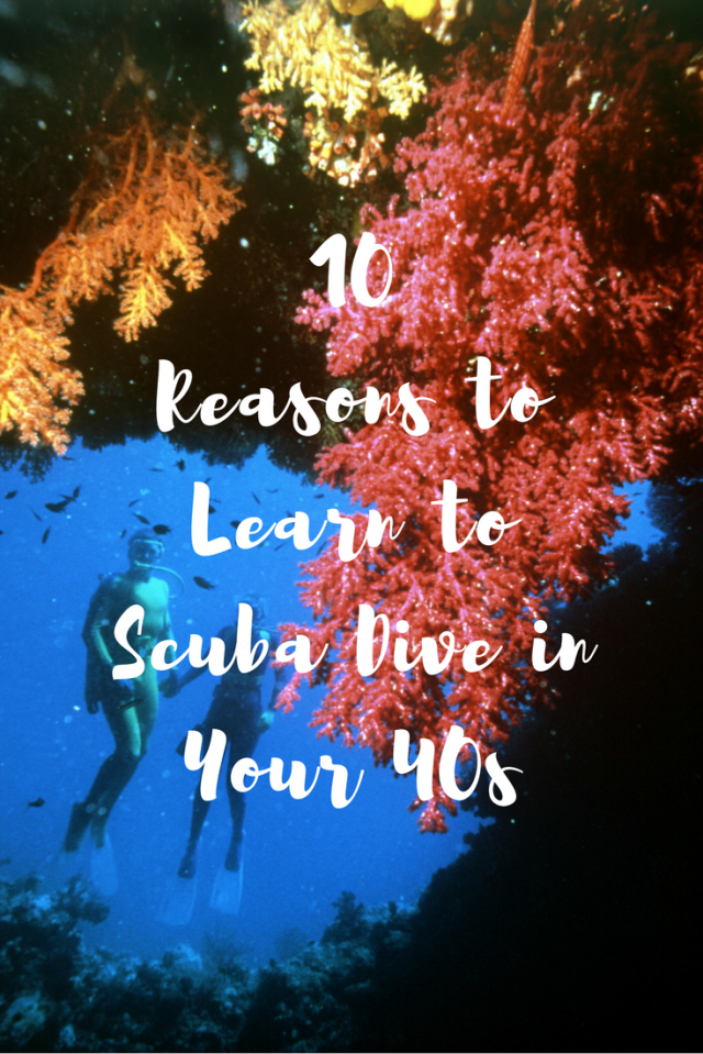 10 Reasons to Leanr to Scuba Dive-2